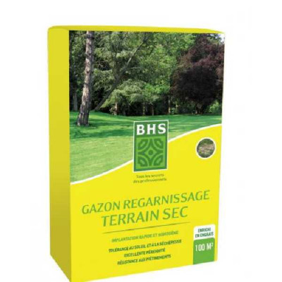 GAZON REGARNISSAGE TERRAIN SEC   BHS