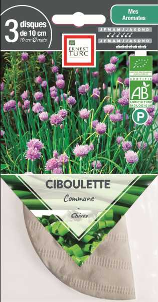 CIBOULETTE COMMUNE BIO X  P TURC