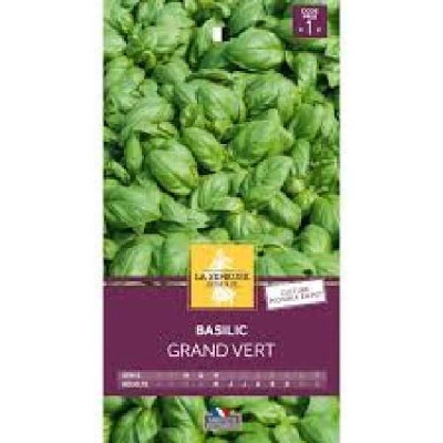 BASILIC GRAND VERT  Code prix 1 La Semeuse