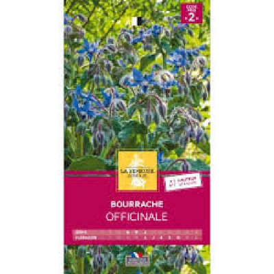 BOURRACHE OFFICINALE  Code prix 2 La Semeuse