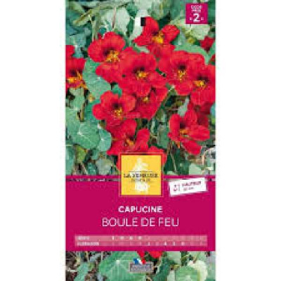 CAPUCINE BOULE DE FEU  Code prix 2 La Semeuse