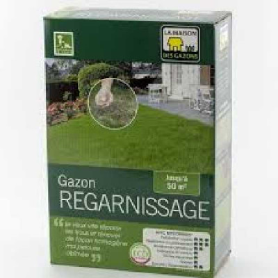 GAZON REGARNISSAGE   MDG MAISON DES GAZONS