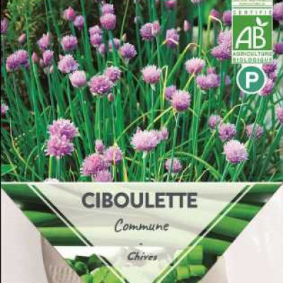 CIBOULETTE COMMUNE BIO X  P TURC