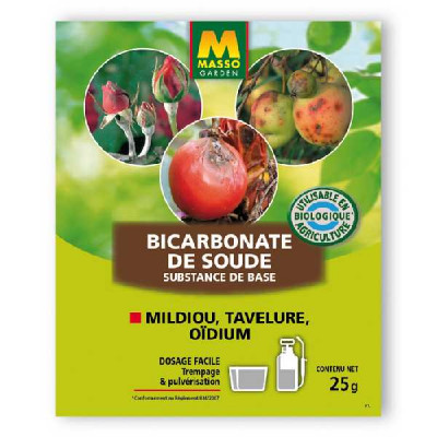 BICARBONATE DE SOUDE , SUBSTANCE DE  Sachet MASSO