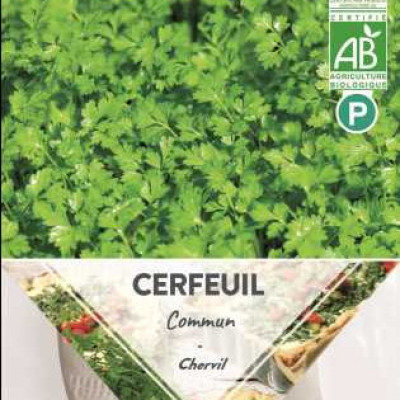 CERFEUIL BIO X3  P TURC