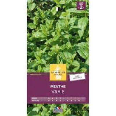 MENTHE VRAIE  Code prix 2 La Semeuse