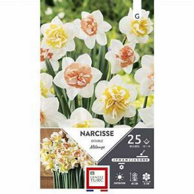 NARCISSE  DOUBLE MELANGE 12/14 X25  G TURC